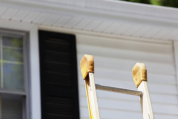 Best Property Management Cleanouts  in Nixa, MO